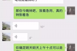 洋县如何避免债务纠纷？专业追讨公司教您应对之策