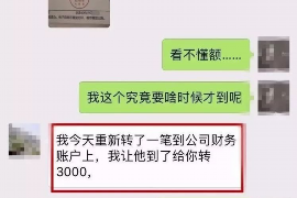 洋县为什么选择专业追讨公司来处理您的债务纠纷？